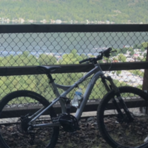 Specialized Stumpjumper Silver, gray or bare metal
