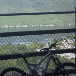 Specialized Stumpjumper Silver, gray or bare metal