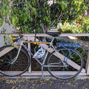 Univega Brown