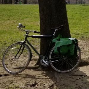 2019 Linus LINUS ROADSTER SPORT 3 OLIVE L Green
