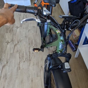 2021 Rad Power Bikes RadRover Green