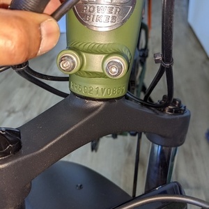 2021 Rad Power Bikes RadRover Green