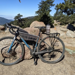 2020 Niner RLT9 Aluminum Silver, gray or bare metal