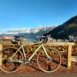 2020 Cannondale Topstone 105 Green