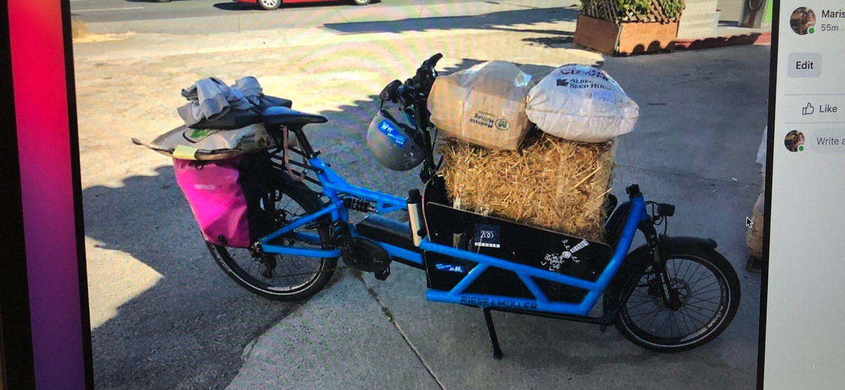Cargo Bike photo