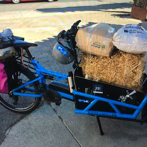 2018 Riese und Müller Riese &amp; Muller Load 60 cargo bike (front storage) Blue
