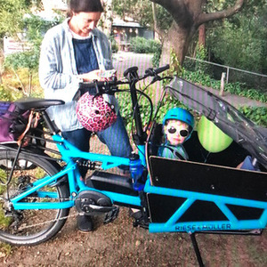 2018 Riese und Müller Riese &amp; Muller Load 60 cargo bike (front storage) Blue