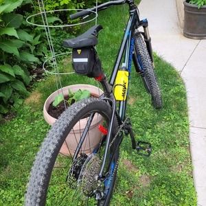 2021 Rocky Mountain Bicycles Fusion 30 Black, Green, and Blue