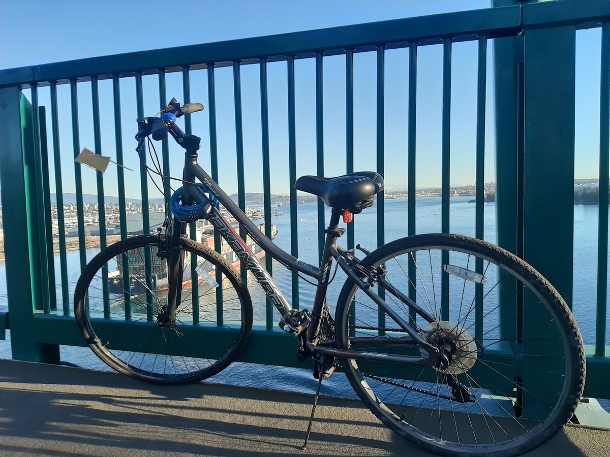 nakamura royal 700c women's hybrid bike 2019