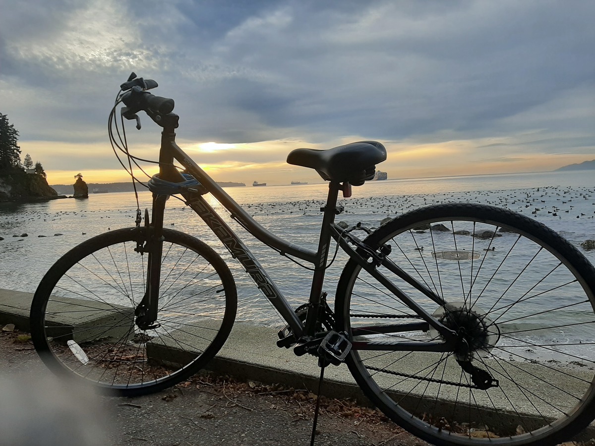 nakamura royal 700c women's hybrid bike 2019