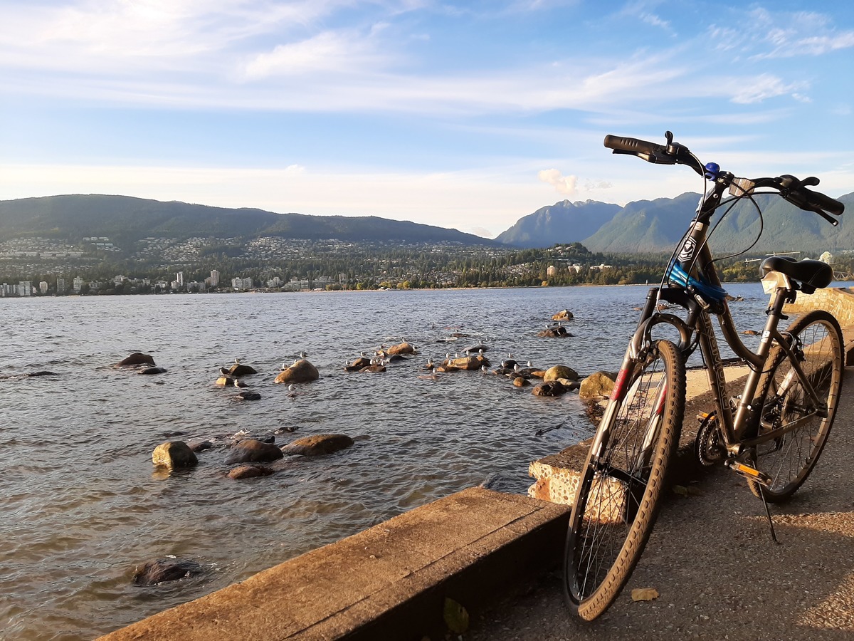 nakamura royal 700c women's hybrid bike 2019