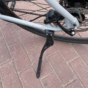 2021 Trek Roam Silver, gray or bare metal