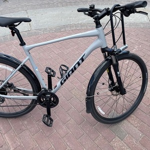 2021 Trek Roam Silver, gray or bare metal
