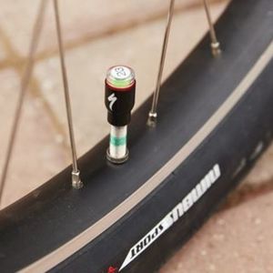 2021 Specialized Roll Teal