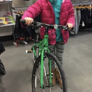 2017 Trek FX2 WSD Green
