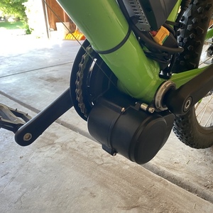 Specialized Rockhopper Green