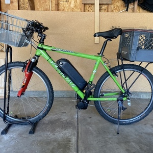 Specialized Rockhopper Green