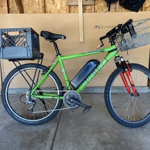 Specialized Rockhopper Green
