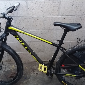 2019 Giant Talon Black and Green