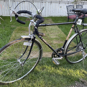 2021 Omega Ultra PE Black and Yellow or Gold