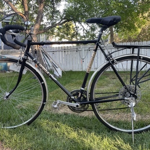 2021 Omega Ultra PE Black and Yellow or Gold