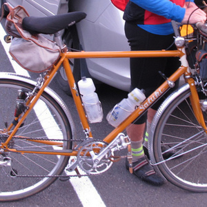 Rivendell Bicycle Works Saluki Brown and White