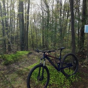2017 Kona Kona Race Light 6061 Aluminum Butted Blue and Orange