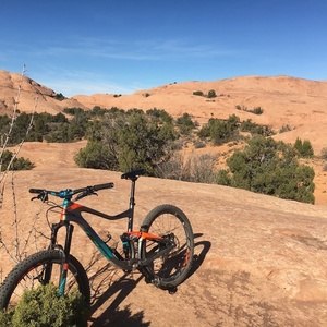 2017 Giant Trance Advance Silver, gray or bare metal