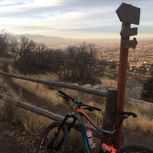 2017 Giant Trance Advance Silver, gray or bare metal