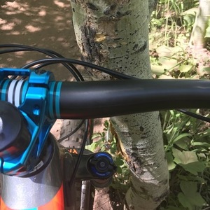 2017 Giant Trance Advance Silver, gray or bare metal