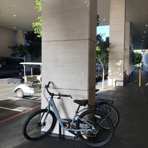 2019 Norco Bikes Scene Small Silver, gray or bare metal