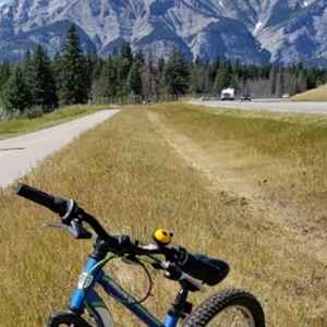 2020 CCM CCM Hardline Youth Hardtail Mountain ... Blue