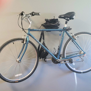 Trek Multitrack Blue