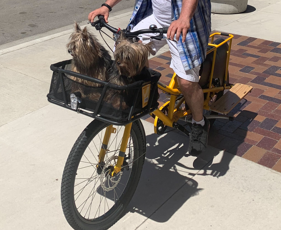 Bike photo