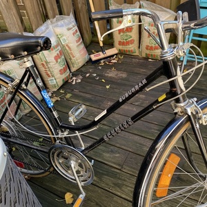 1979 Schwinn Suburban Brown