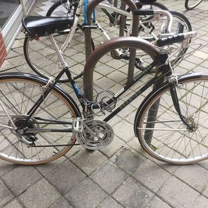 1979 Schwinn Suburban Brown