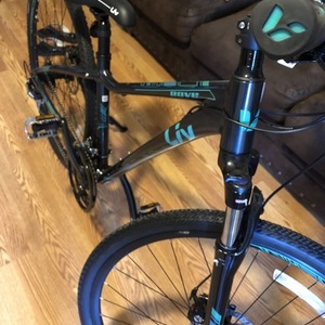 2018 Liv Rove 3 Black and Green