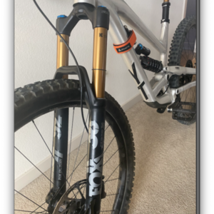 2019 YT Capra 29 AL LTD 236/400 Silver, gray or bare metal