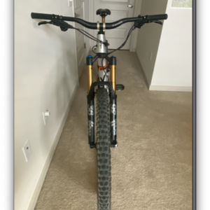 2019 YT Capra 29 AL LTD 236/400 Silver, gray or bare metal