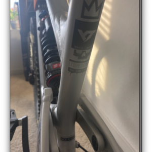 2019 YT Capra 29 AL LTD 236/400 Silver, gray or bare metal