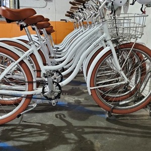 2020 Priority Bicycles Coast Step Through White