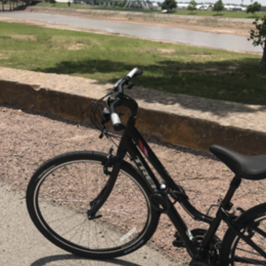2020 Trek Verve 3 Black and Pink