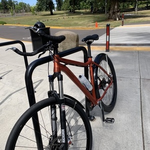 2016 Mitchell Smith Orange