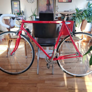 1992 Schwinn Paramount PDG Series 2 Red