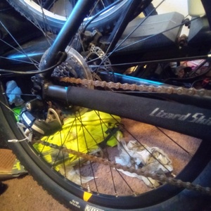 2016 Giant Tylon Black, Orange, and Blue