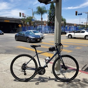 2019 Giant Escape 2 disc Blue