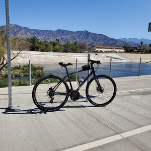 2019 Giant Escape 2 disc Blue