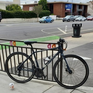 2019 Giant Escape 2 disc Blue
