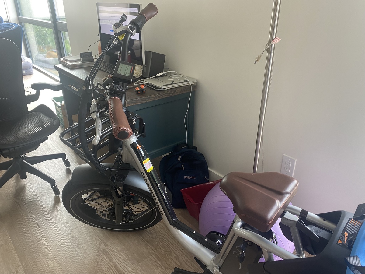 2021 Rad Power Bikes Rad Runner Plus