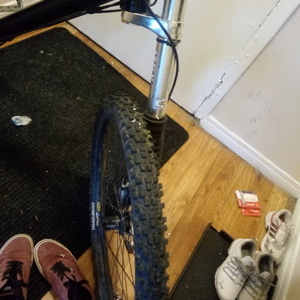 2020 Cannondale Prophet Black